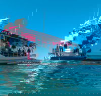 Best of Moreton Bay Cruise - Accommodation 4U