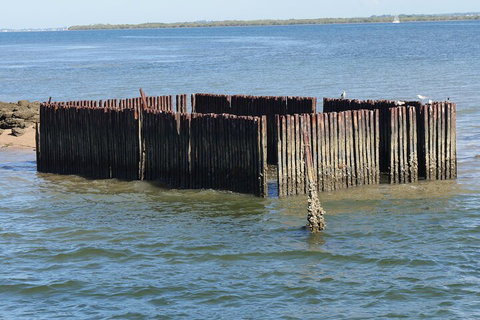 Best Of Moreton Bay Cruise - Accommodation 4U 1