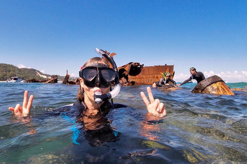 Best Of Moreton Bay Cruise - Accommodation 4U 4