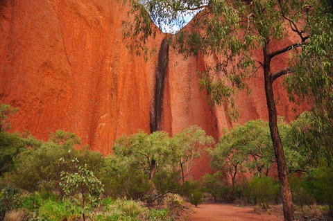 Uluru Sunrise And Guided Base Walk - Accommodation 4U 3