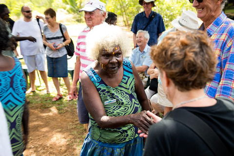 Tiwi Islands Cultural Experience From Darwin Including Ferry - Accommodation 4U 0