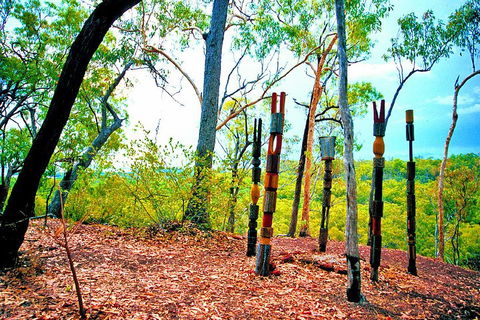 Tiwi Islands Cultural Experience From Darwin Including Ferry - Accommodation 4U 3
