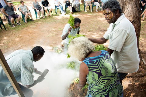 Tiwi Islands Cultural Experience From Darwin Including Ferry - Accommodation 4U 4