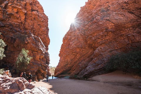 West MacDonnell Ranges- Half Day Trip From Alice Springs - Accommodation 4U 0