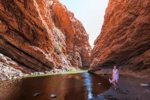 West MacDonnell Ranges- Half Day Trip From Alice Springs - Accommodation 4U 1