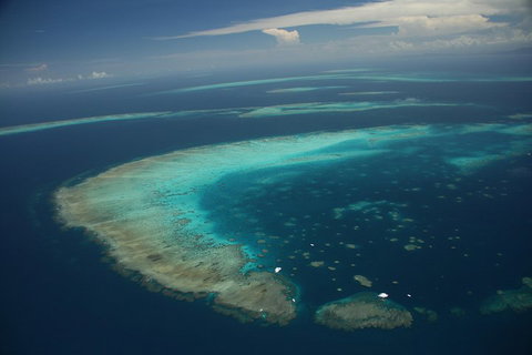 Great Barrier Reef Day Cruise From Cairns Including Snorkeling And Marine Biologist Presentation - Accommodation 4U 1
