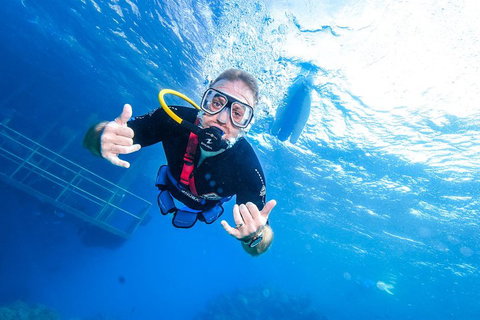 Great Barrier Reef Day Cruise From Cairns Including Snorkeling And Marine Biologist Presentation - Accommodation 4U 3