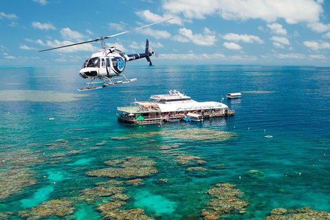 Great Barrier Reef Day Cruise From Cairns Including Snorkeling And Marine Biologist Presentation - Accommodation 4U 5