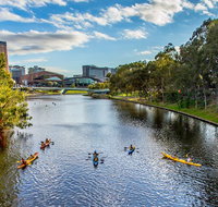 Adelaide City Kayak Tour - Accommodation 4U