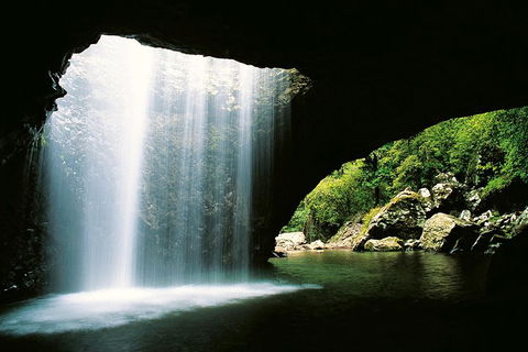 Natural Bridge & Springbrook Waterfalls Tour - Accommodation 4U 0