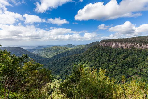 Natural Bridge & Springbrook Waterfalls Tour - Accommodation 4U 1