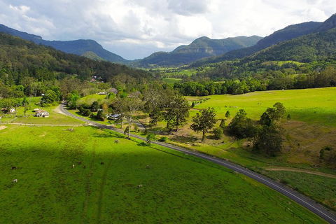 Natural Bridge & Springbrook Waterfalls Tour - Accommodation 4U 2