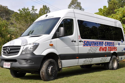 Natural Bridge & Springbrook Waterfalls Tour - Accommodation 4U 3