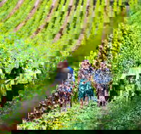 Tasmanian Wine Tour - Accommodation 4U