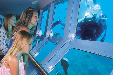 Quicksilver Outer Great Barrier Reef Snorkel Cruise From Palm Cove - Accommodation 4U 0