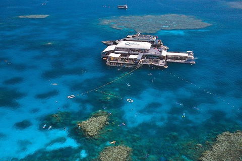 Quicksilver Outer Great Barrier Reef Snorkel Cruise From Palm Cove - Accommodation 4U 1