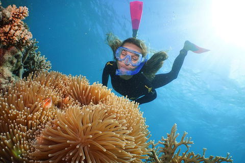 Quicksilver Outer Great Barrier Reef Snorkel Cruise From Palm Cove - Accommodation 4U 2
