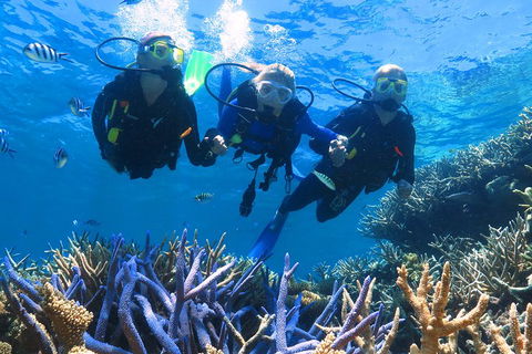 Quicksilver Outer Great Barrier Reef Snorkel Cruise From Palm Cove - Accommodation 4U 3