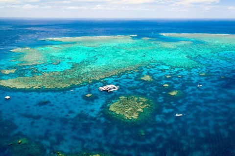Quicksilver Outer Great Barrier Reef Snorkel Cruise From Palm Cove - Accommodation 4U 4