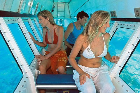 Quicksilver Outer Great Barrier Reef Snorkel Cruise From Palm Cove - Accommodation 4U 5