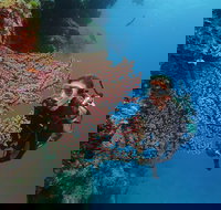 Silversonic Outer Great Barrier Reef Dive and Snorkel Cruise from Port Douglas - Accommodation 4U