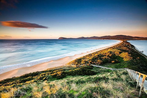Bruny Island Private Charter Service - Accommodation 4U 0