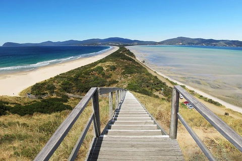 Bruny Island Private Charter Service - Accommodation 4U 4