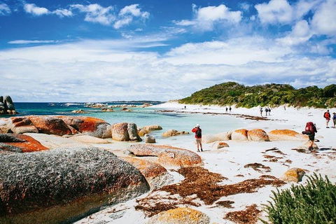 Wineglass Bay Private Charter Service - Accommodation 4U 3