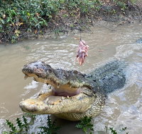 Top End Waterfalls and Wetlands - Accommodation 4U