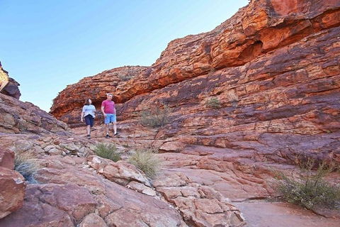The Amazing Kings Canyon: 4-Hours Walking Tour And Hike - Accommodation 4U 5