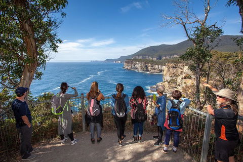 Historic Port Arthur Day Trip From Hobart Including Cliff-Top Walk To Waterfall Bay - Accommodation 4U 0