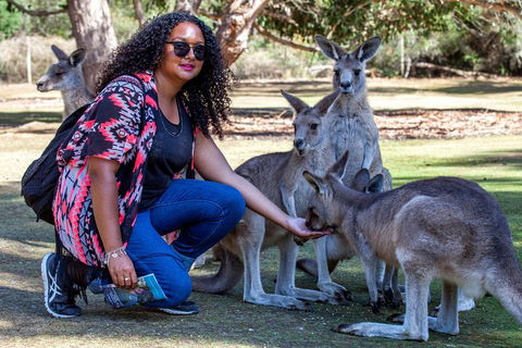 3-Day Tasmania Combo: Hobart To Launceston Active Tour - Accommodation 4U 5