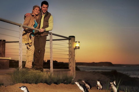 The Ultimate Melbourne Attractions Pass - Accommodation 4U 3