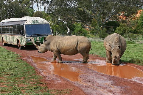 The Ultimate Melbourne Attractions Pass - Accommodation 4U 4