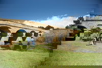 Bonorong Wildlife Park and Richmond Afternoon Tour from Hobart