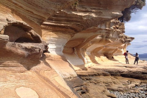 Hobart Minibus Full-Day Private Tour - Accommodation 4U 0