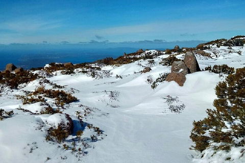 Mt Wellington Ultimate Experience Tour From Hobart - Accommodation 4U 4