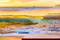 Book Viator Accommodation Vacations Accommodation 4U Accommodation 4U