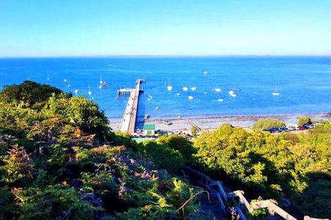 Mornington Peninsula Sightseeing Tour For 2-6 Guests. - Accommodation 4U 1