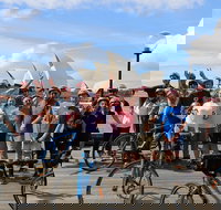 Sydney Bike Tours - Accommodation 4U