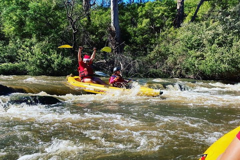 Yarra River Half-Day Rafting Experience - Accommodation 4U 0