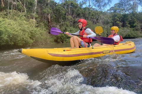 Yarra River Half-Day Rafting Experience - Accommodation 4U 1