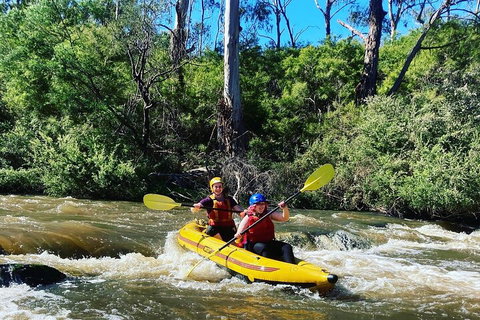 Yarra River Half-Day Rafting Experience - Accommodation 4U 2