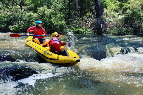 Yarra River Half-Day Rafting Experience - Accommodation 4U 4