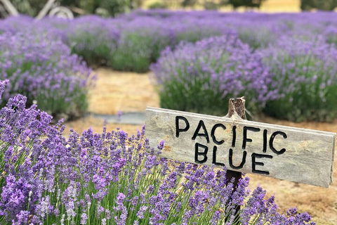 Kangaroo Island Food And Wine Hop-on Hop-off Tour - Accommodation 4U 4