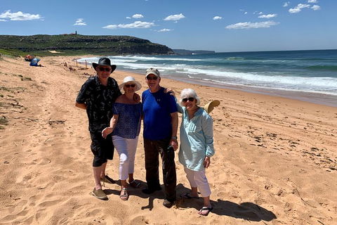 Shore Excursion: Sydney's Northern Beaches & Ku-ring-gai National Park Bus Tour - Accommodation 4U 3