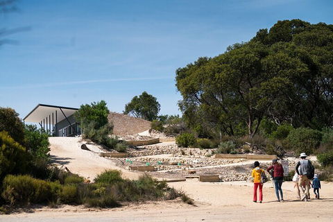 2-Hour Koala Walking Tour In Kangaroo Island - Accommodation 4U 3
