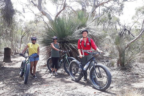 2 Hour Bike Tour In Kangaroo Island - Accommodation 4U 0