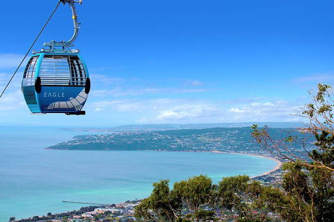 Peninsula Hot Springs Tour With Restaurant Lunch & Gondola Ride - Accommodation 4U 1