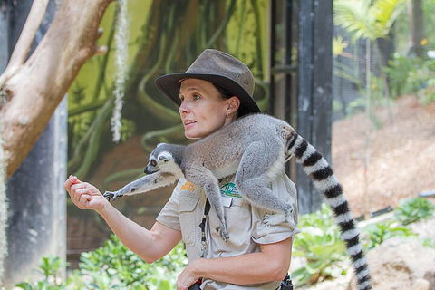 Currumbin Wildlife Sanctuary General Entry Ticket - Accommodation 4U 1